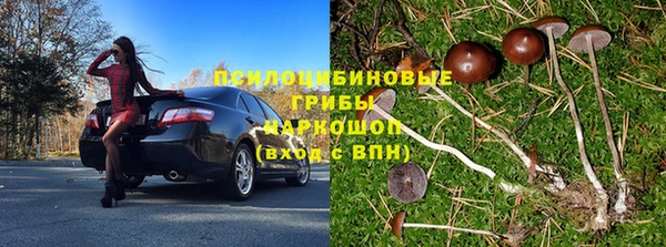 молекула духа Саяногорск