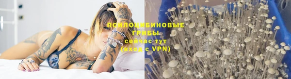 прущая мука Вязьма
