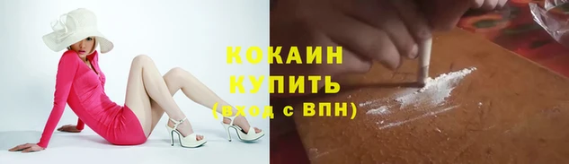 прущие грибы Володарск