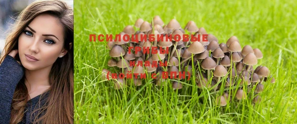молекула духа Саяногорск