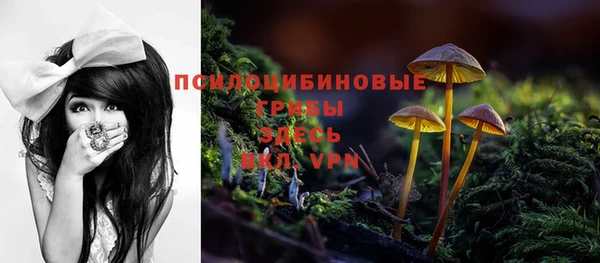 прущая мука Вязьма