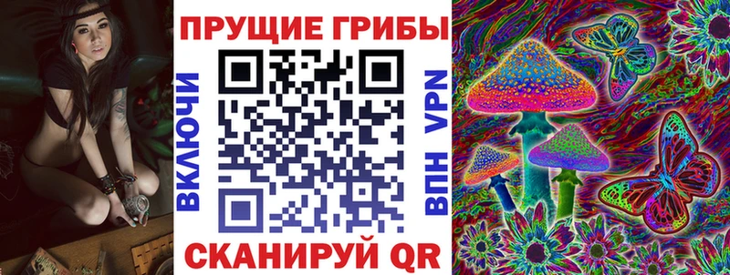 продажа наркотиков  Осинники  Псилоцибиновые грибы GOLDEN TEACHER 